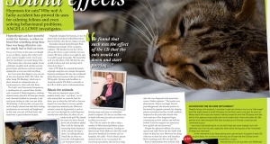 Your Cat magazine article